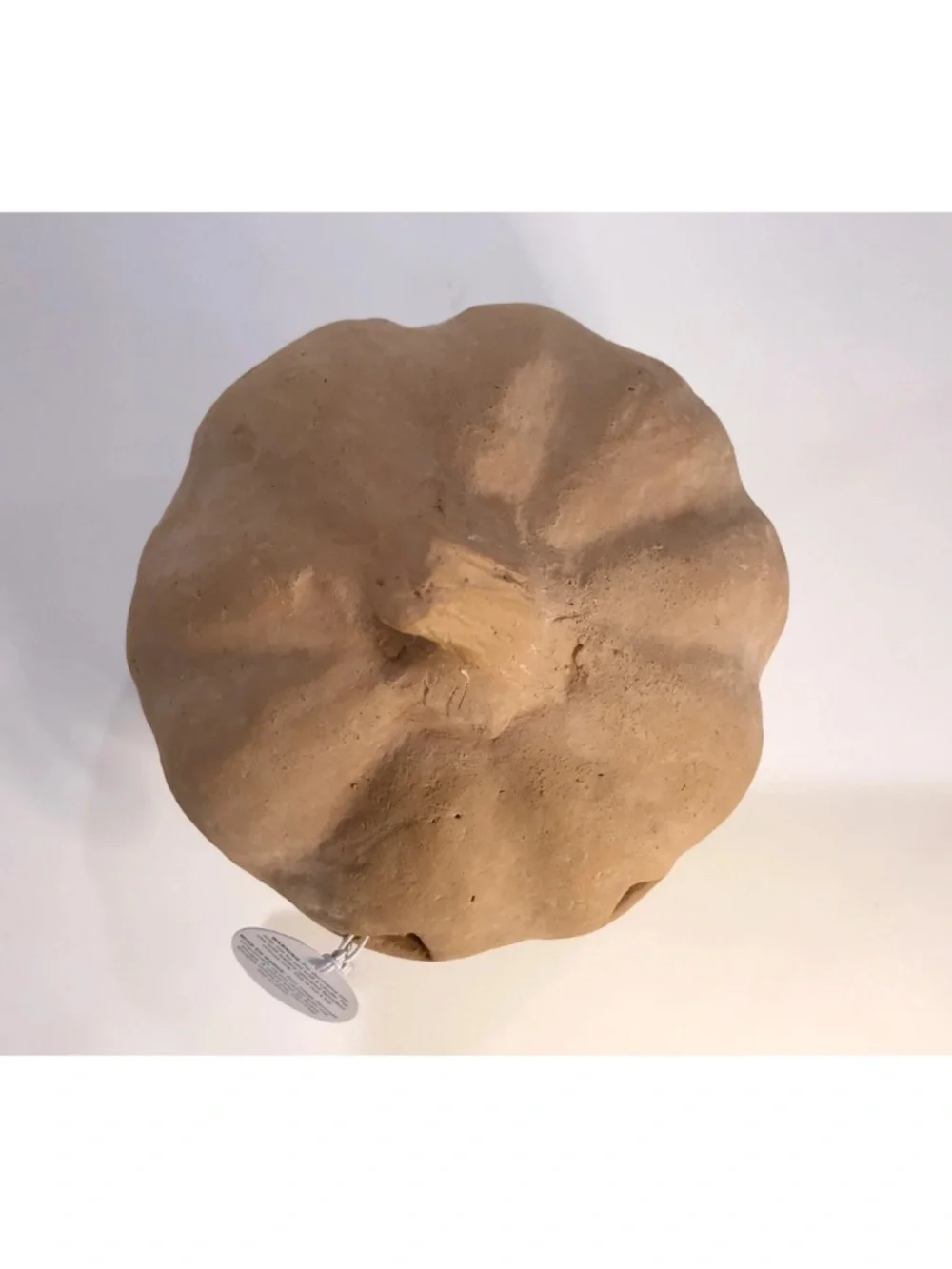Pottery Barn Terracotta SMALL Jack-o-Lantern Orange Pumpkin Fall Luminary NEW